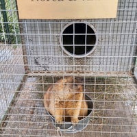 Foto tomada en Murkšķu audzētava &amp;quot;Jaunstuči&amp;quot; | Marmot farm &amp;quot;Jaunstuči&amp;quot;  por Māris T. el 7/31/2022