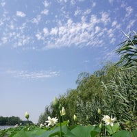 Photo taken at Клуб загородного отдыха &amp;quot;Усадьба Фамилия&amp;quot; by Sierra d. on 6/30/2018