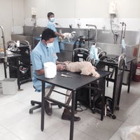 pet express sm cubao