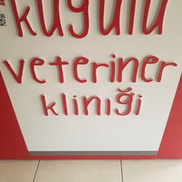 Photo taken at Kuğulu Veteriner Kliniği by Aziz YILDIZ on 12/17/2017