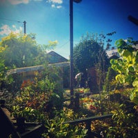 フローラ黒田園芸 中央区円阿弥1 3 9