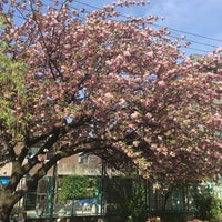 Photo taken at 富士見丘小学校 by ジャック on 4/21/2019