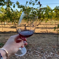 Photo taken at Andretti Winery by Ania M. on 11/3/2019