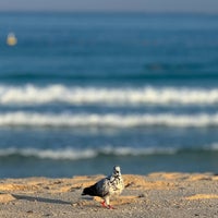 5/11/2024에 ذكرى님이 Kite Surf Beach에서 찍은 사진