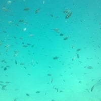 Red Sea Divers Hurghada