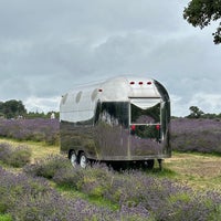 Photo taken at Mayfield Lavender Farm by Pouria on 7/30/2023
