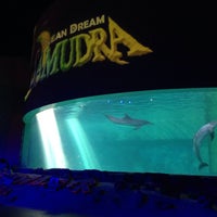 Photo taken at Underwater Theater (Ocean Dream Samudra) by ardhy m. on 11/14/2015