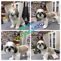 Vippet Petshop 19 Mayis Istanbul Istanbul