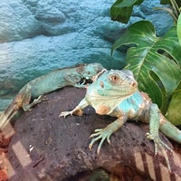 Petco Pet Supplies Store in Northeast Ann Arbor