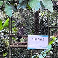 Photo taken at Philippine Eagle Center by MME on 6/27/2022