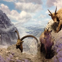 Haus Der Natur Science Museum