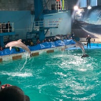 Photo taken at Dolphinarium by Vitaly D. on 1/7/2020