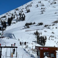 3/17/2023 tarihinde Dane R.ziyaretçi tarafından Alta Ski Area'de çekilen fotoğraf