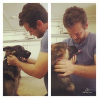 elkhound ranch kennel