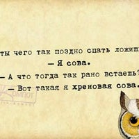 попозже спать. попозже спать. поздно ложиться спать. ночные цитаты. попозже спать.