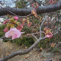 Photo taken at 引地川親水公園 by A. Y. on 2/11/2024