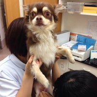 ハロー動物病院 新鎌ヶ谷分院 Clinica Veterinaria Em 鎌ヶ谷市