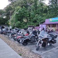 Menu The Purple Daisy Picnic Cafe St Elmo 4001 Saint Elmo Ave