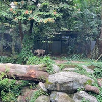 Photo taken at Singapore Zoo by R on 6/6/2023