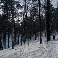 Photo taken at Академовский лес by Светочка И. on 3/1/2014