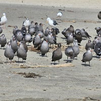 Photo taken at Stinson Beach by Andrei S. on 9/22/2023