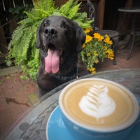 Photo taken at Big Dog Coffee by Eric B. on 8/14/2022