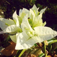 Aki Nursery Flower In Irvine Photo Taken At Aki Nursery By Kendo U On 9 6 2017