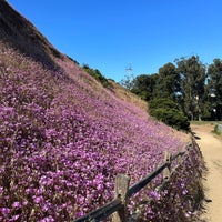 Photo taken at Corona Heights Park by Bradley M. on 7/1/2023