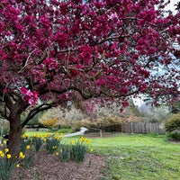 3/24/2024にBradley M.がSan Francisco Botanical Gardenで撮った写真