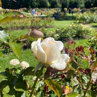 Photo taken at Rose Garden by Bradley M. on 6/19/2022