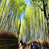 Photo taken at Arashiyama Bamboo Grove by S. L. on 5/20/2018