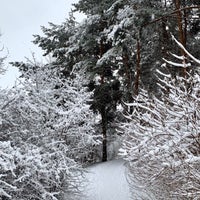 Photo taken at Юго-Западный лесопарк by Sergey D. on 1/11/2020