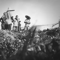 Sri Jelutung Palm Oil Mill 8 Visitors