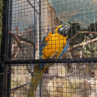 Photo taken at Zoologischer Stadtgarten Karlsruhe by Julia S. on 5/5/2023