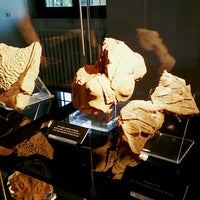 Photo taken at Museo Archeologico Nazionale Gaio Plinio Mecenate by Zura B. on 9/24/2016