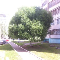 Photo taken at Старый Аэропорт by biobox on 6/13/2015