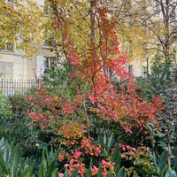 Photo taken at Jardin de l&amp;#39;Impasse des Jardiniers by Laëtitia J. on 11/15/2023