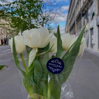 Photo taken at Monceau Fleurs by Laëtitia J. on 4/26/2023