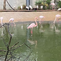 Photo taken at Parc Zoologique de Paris by Laëtitia J. on 8/3/2023