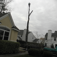Photo taken at The Whole 9 Tree Service by Trevor H. on 2/5/2016