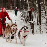 Photo taken at Яковлевский Бор by Владимир Г. on 12/4/2013