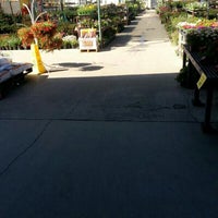 Green Arrow Nursery North Hills East 4 Tips From 160 Green Arrow Nursery North Hills East 4 Tips From 160