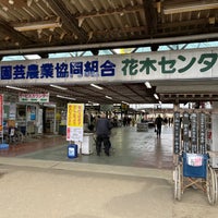 トキワ園芸農業協同組合 花木センター 小美玉市 茨城県