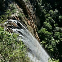Purling Brook Falls 25 33 Kuralboo St