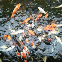 粕川温泉元気ランド Hot Spring