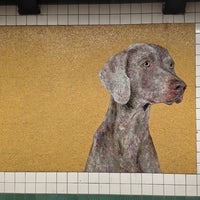 Photo taken at MTA Subway - 23rd St (F/M) by David on 4/6/2024