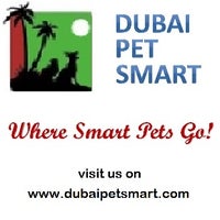 Das Foto wurde bei Dubai Pet Smart von Dubai Pet Smart am 12/9/2013 aufgenommen