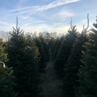 Pine Tree Barn 4374 Shreve Rd