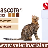 12/10/2013 tarihinde Veterinaria La Mascotaziyaretçi tarafından Veterinaria La Mascota'de çekilen fotoğraf