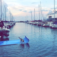 7/5/2018에 Mona س.님이 Tiki Boat Chicago에서 찍은 사진